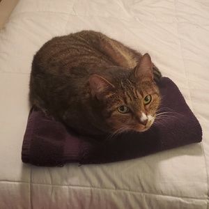 Meet your Posher, Kimberly